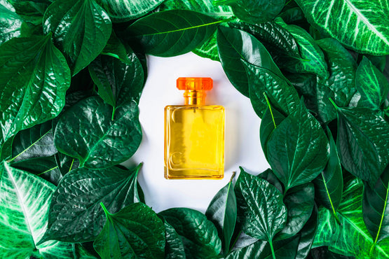 Tropical Scents to Wear on Vacation