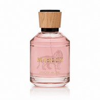 Satisfy My Soul Eau De Parfum 3.4 oz.