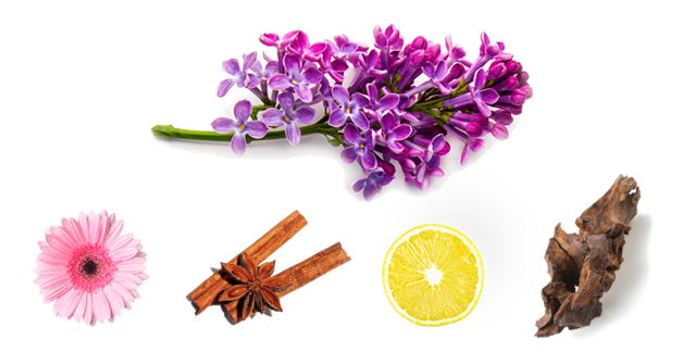 PI Eau de Toilette Spray for Men by Givenchy