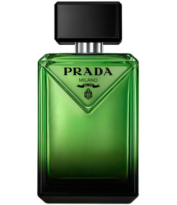 Paradigme Cologne Featured image