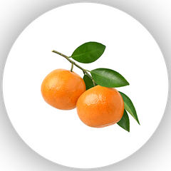 Citrus & Woods