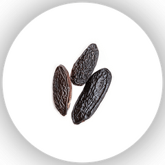 Tonka Bean