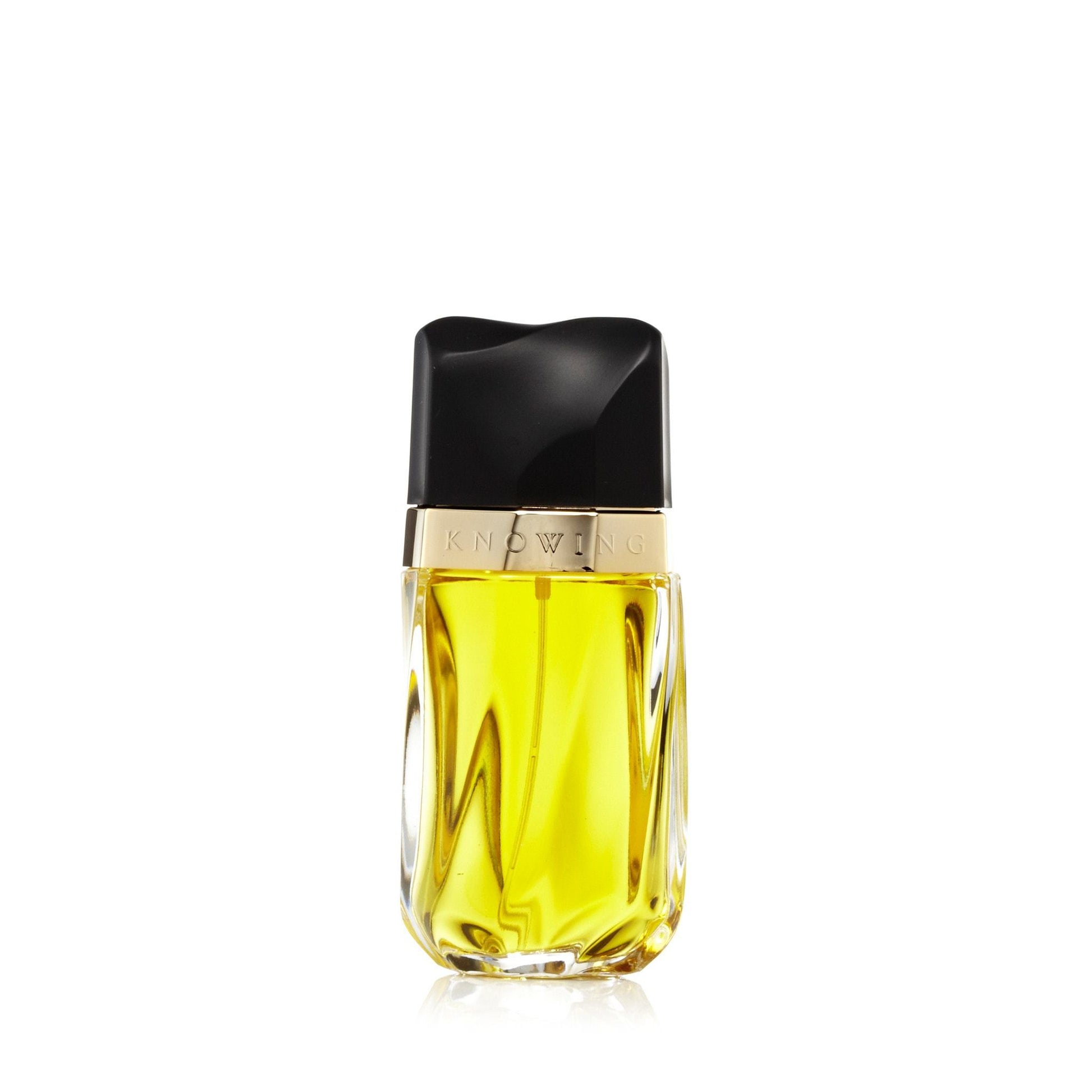 Knowing EDP for Women by Estee Lauder – Fragrance Outlet Knowing EDP for Women by Estee Lauder – Fragrance Outlet