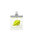 Natureza Terra Cologne